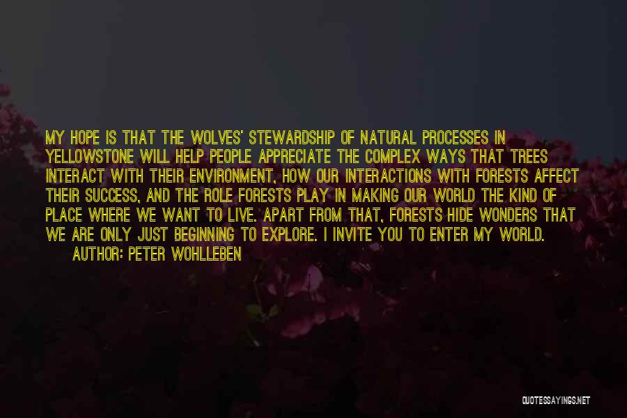 Peter Wohlleben Quotes: My Hope Is That The Wolves' Stewardship Of Natural Processes In Yellowstone Will Help People Appreciate The Complex Ways That