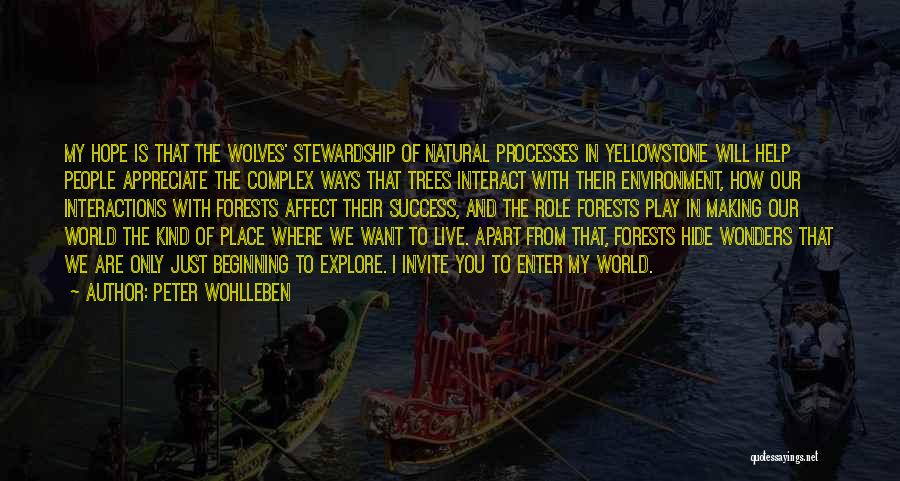 Peter Wohlleben Quotes: My Hope Is That The Wolves' Stewardship Of Natural Processes In Yellowstone Will Help People Appreciate The Complex Ways That