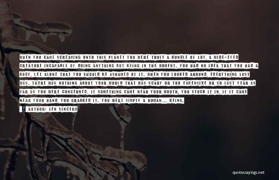 Jen Sincero Quotes: When You Came Screaming Onto This Planet You Were Truly A Bundle Of Joy, A Wide-eyed Creature Incapable Of Doing