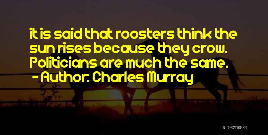 Charles Murray Quotes: It Is Said That Roosters Think The Sun Rises Because They Crow. Politicians Are Much The Same.