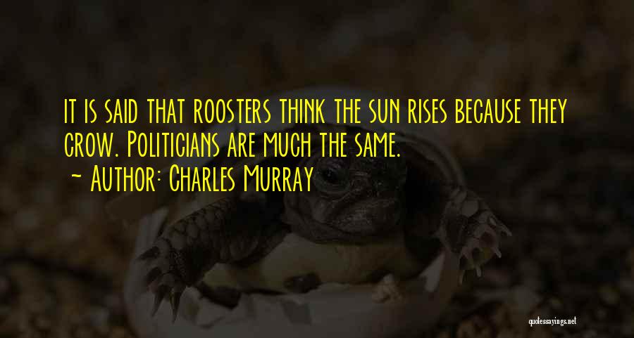 Charles Murray Quotes: It Is Said That Roosters Think The Sun Rises Because They Crow. Politicians Are Much The Same.