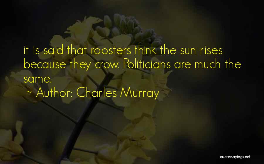 Charles Murray Quotes: It Is Said That Roosters Think The Sun Rises Because They Crow. Politicians Are Much The Same.