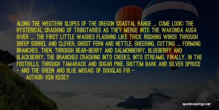 Ken Kesey Quotes: Along The Western Slopes Of The Oregon Coastal Range ... Come Look: The Hysterical Crashing Of Tributaries As They Merge