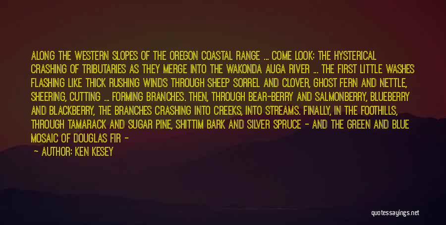 Ken Kesey Quotes: Along The Western Slopes Of The Oregon Coastal Range ... Come Look: The Hysterical Crashing Of Tributaries As They Merge