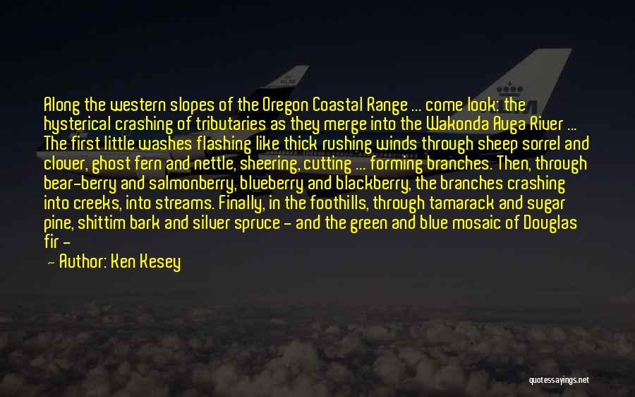 Ken Kesey Quotes: Along The Western Slopes Of The Oregon Coastal Range ... Come Look: The Hysterical Crashing Of Tributaries As They Merge