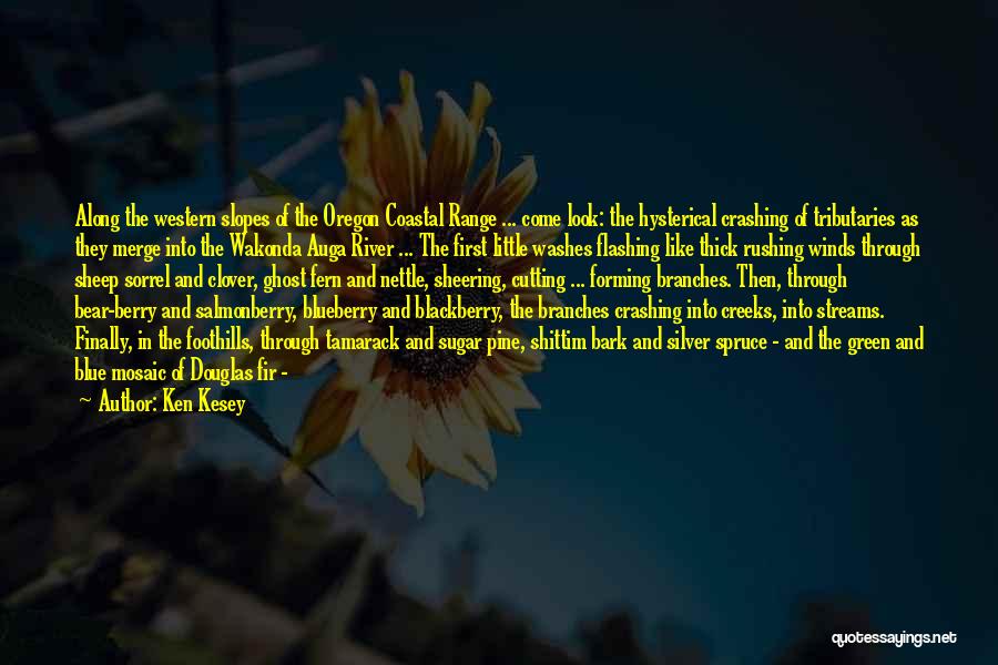 Ken Kesey Quotes: Along The Western Slopes Of The Oregon Coastal Range ... Come Look: The Hysterical Crashing Of Tributaries As They Merge