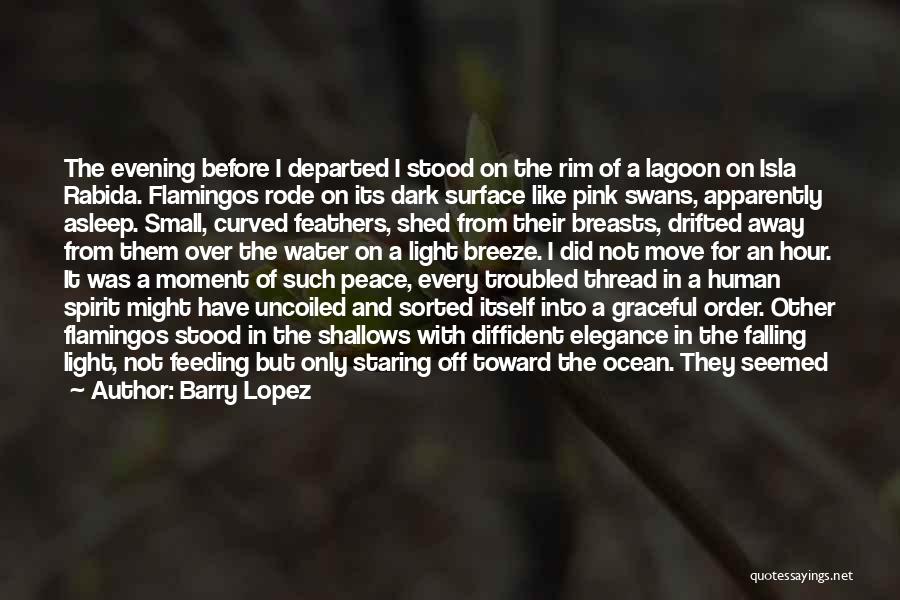 Barry Lopez Quotes: The Evening Before I Departed I Stood On The Rim Of A Lagoon On Isla Rabida. Flamingos Rode On Its