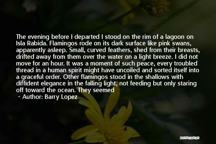 Barry Lopez Quotes: The Evening Before I Departed I Stood On The Rim Of A Lagoon On Isla Rabida. Flamingos Rode On Its