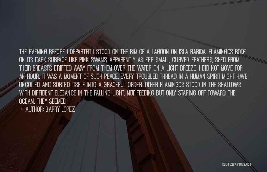 Barry Lopez Quotes: The Evening Before I Departed I Stood On The Rim Of A Lagoon On Isla Rabida. Flamingos Rode On Its