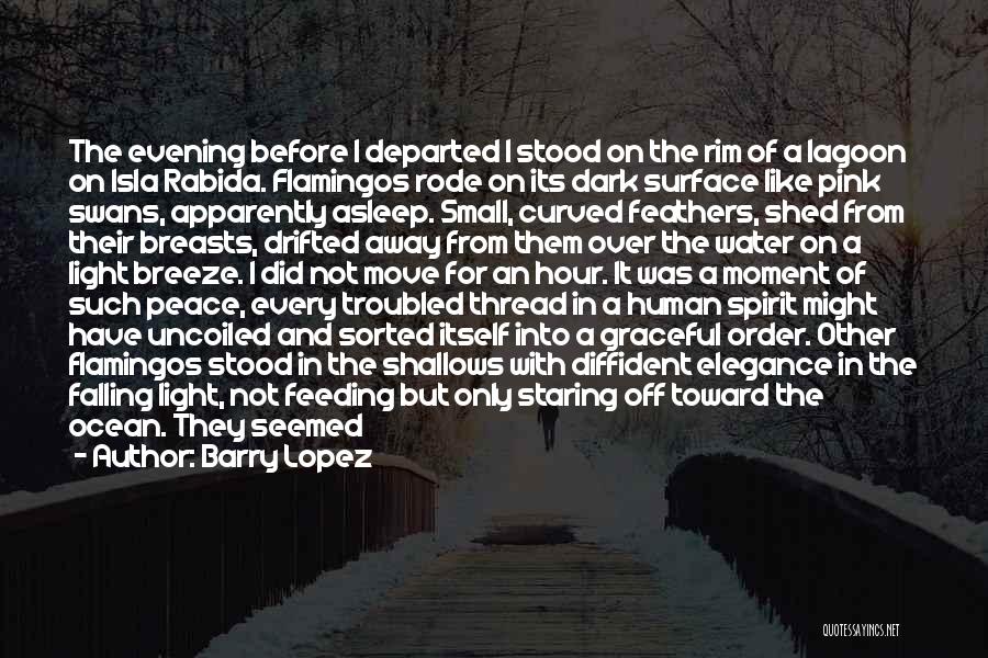 Barry Lopez Quotes: The Evening Before I Departed I Stood On The Rim Of A Lagoon On Isla Rabida. Flamingos Rode On Its