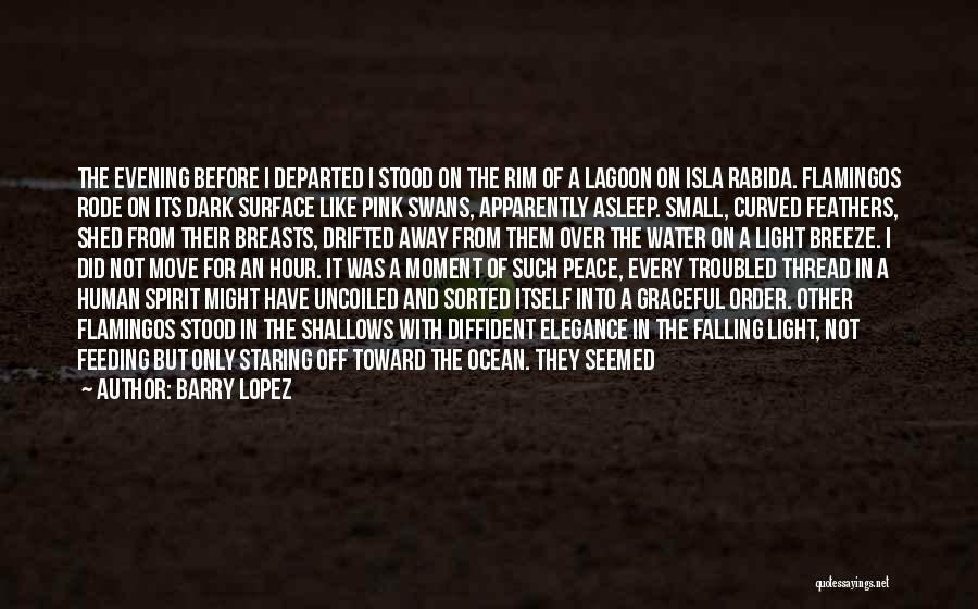 Barry Lopez Quotes: The Evening Before I Departed I Stood On The Rim Of A Lagoon On Isla Rabida. Flamingos Rode On Its