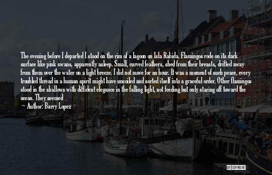 Barry Lopez Quotes: The Evening Before I Departed I Stood On The Rim Of A Lagoon On Isla Rabida. Flamingos Rode On Its