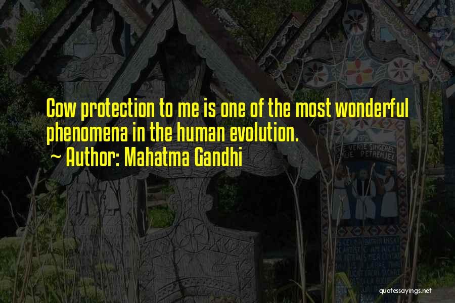 Mahatma Gandhi Quotes: Cow Protection To Me Is One Of The Most Wonderful Phenomena In The Human Evolution.