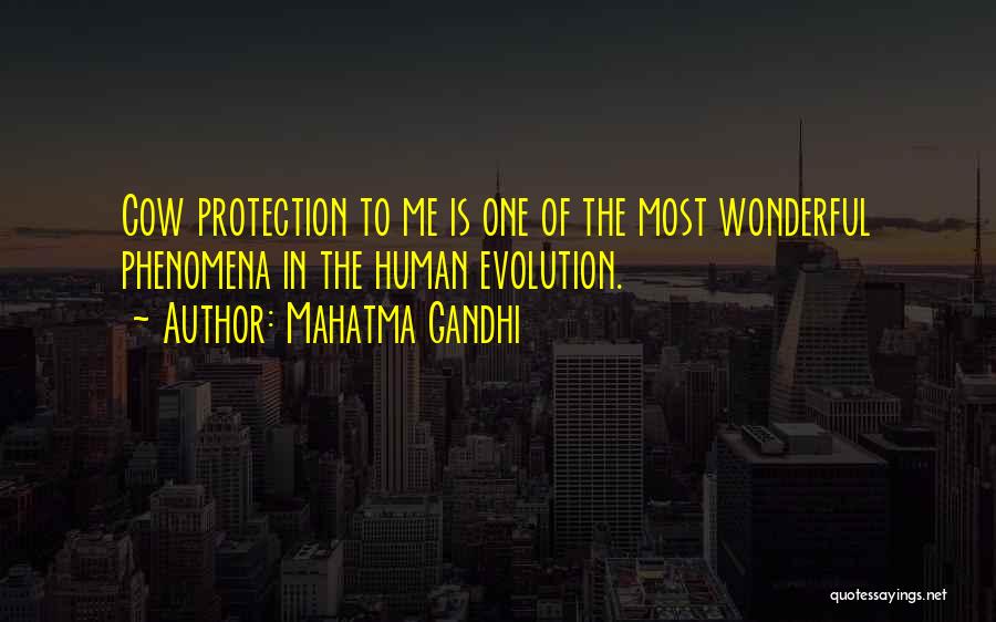 Mahatma Gandhi Quotes: Cow Protection To Me Is One Of The Most Wonderful Phenomena In The Human Evolution.