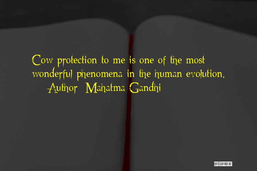 Mahatma Gandhi Quotes: Cow Protection To Me Is One Of The Most Wonderful Phenomena In The Human Evolution.