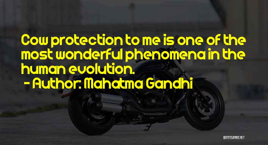 Mahatma Gandhi Quotes: Cow Protection To Me Is One Of The Most Wonderful Phenomena In The Human Evolution.