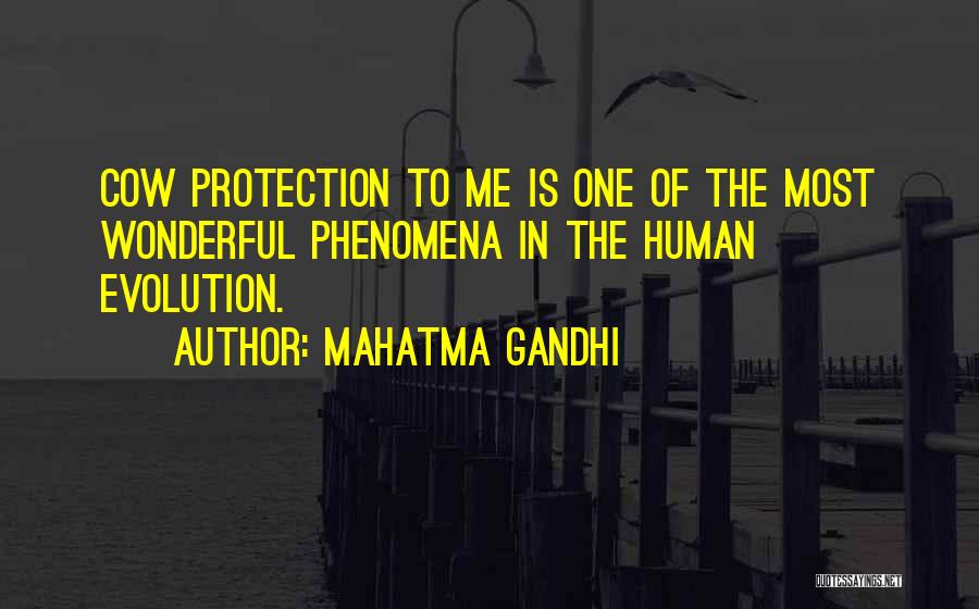 Mahatma Gandhi Quotes: Cow Protection To Me Is One Of The Most Wonderful Phenomena In The Human Evolution.