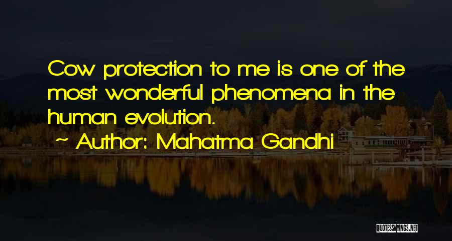 Mahatma Gandhi Quotes: Cow Protection To Me Is One Of The Most Wonderful Phenomena In The Human Evolution.