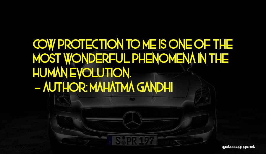 Mahatma Gandhi Quotes: Cow Protection To Me Is One Of The Most Wonderful Phenomena In The Human Evolution.