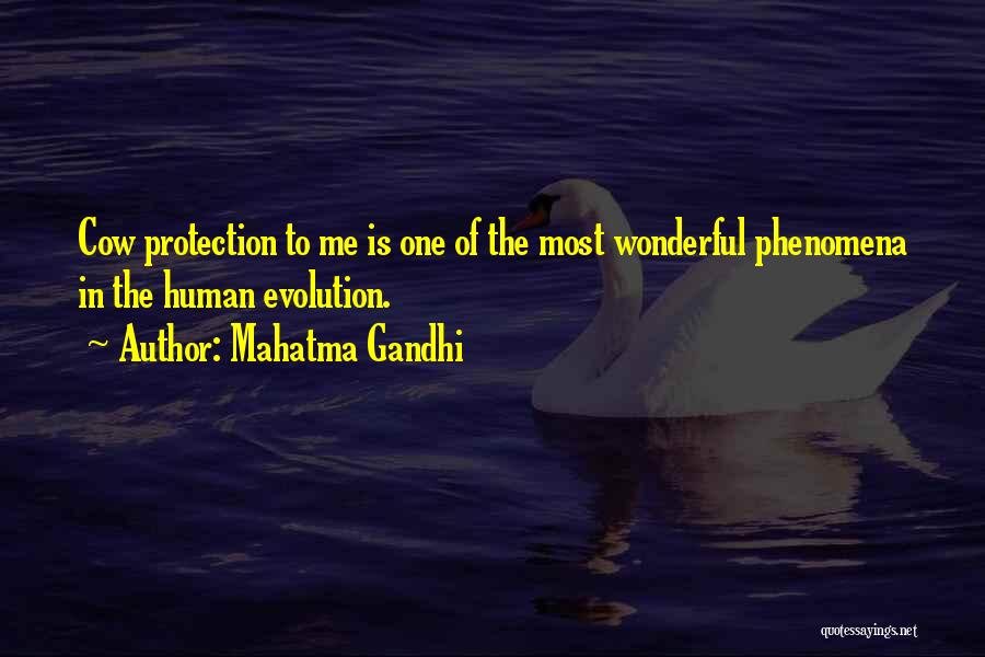 Mahatma Gandhi Quotes: Cow Protection To Me Is One Of The Most Wonderful Phenomena In The Human Evolution.