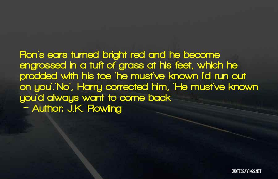 J.K. Rowling Quotes: Ron's Ears Turned Bright Red And He Become Engrossed In A Tuft Of Grass At His Feet, Which He Prodded
