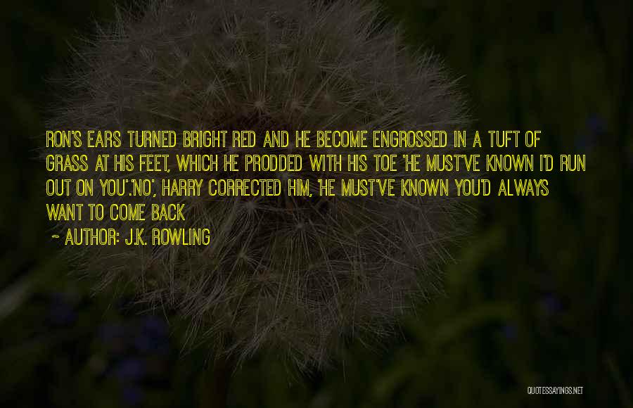 J.K. Rowling Quotes: Ron's Ears Turned Bright Red And He Become Engrossed In A Tuft Of Grass At His Feet, Which He Prodded