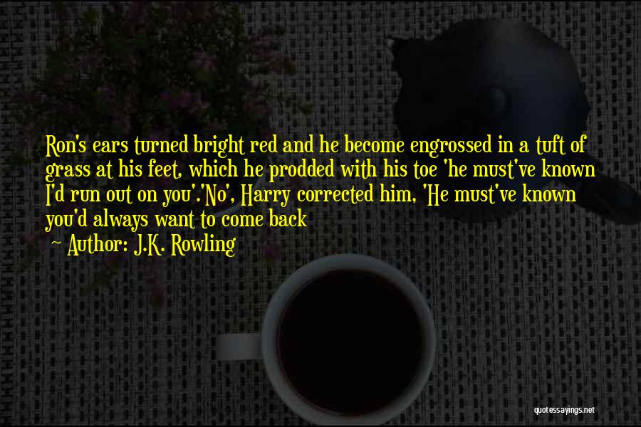 J.K. Rowling Quotes: Ron's Ears Turned Bright Red And He Become Engrossed In A Tuft Of Grass At His Feet, Which He Prodded