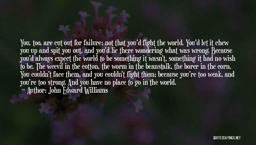 John Edward Williams Quotes: You, Too, Are Cut Out For Failure; Not That You'd Fight The World. You'd Let It Chew You Up And