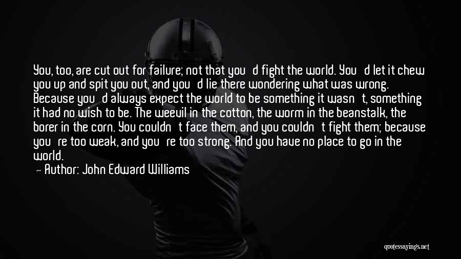 John Edward Williams Quotes: You, Too, Are Cut Out For Failure; Not That You'd Fight The World. You'd Let It Chew You Up And