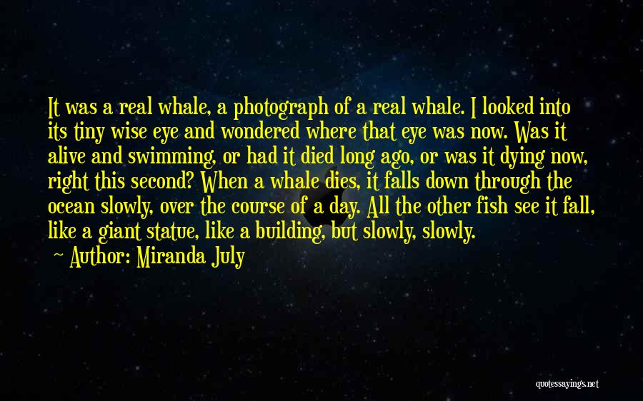 Miranda July Quotes: It Was A Real Whale, A Photograph Of A Real Whale. I Looked Into Its Tiny Wise Eye And Wondered