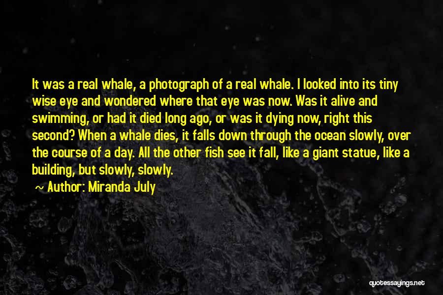 Miranda July Quotes: It Was A Real Whale, A Photograph Of A Real Whale. I Looked Into Its Tiny Wise Eye And Wondered