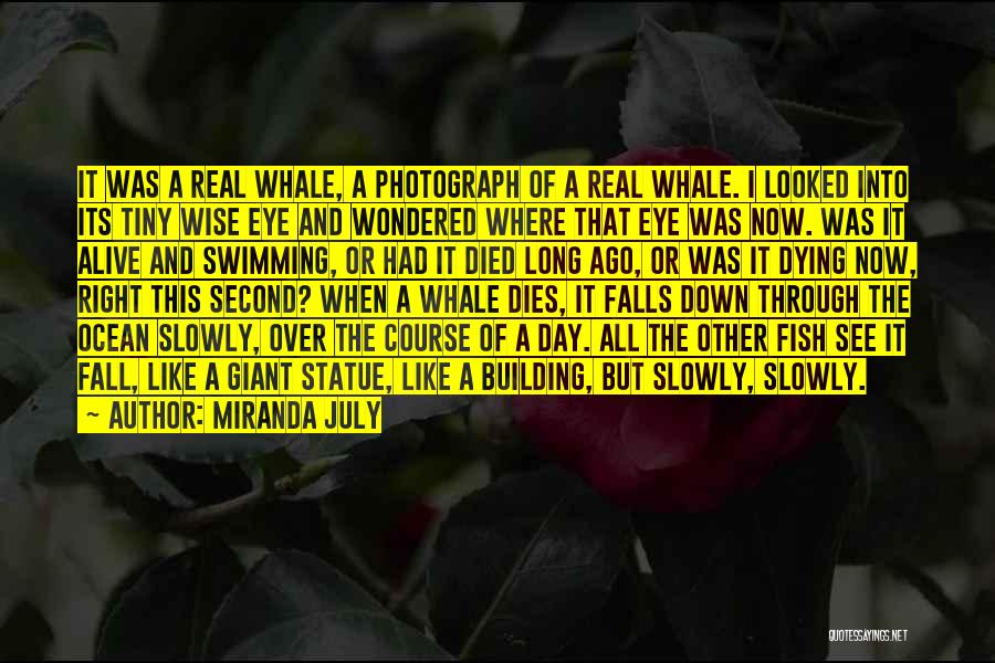 Miranda July Quotes: It Was A Real Whale, A Photograph Of A Real Whale. I Looked Into Its Tiny Wise Eye And Wondered