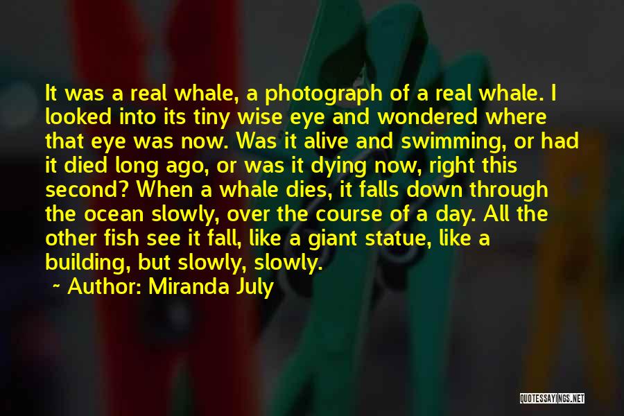 Miranda July Quotes: It Was A Real Whale, A Photograph Of A Real Whale. I Looked Into Its Tiny Wise Eye And Wondered
