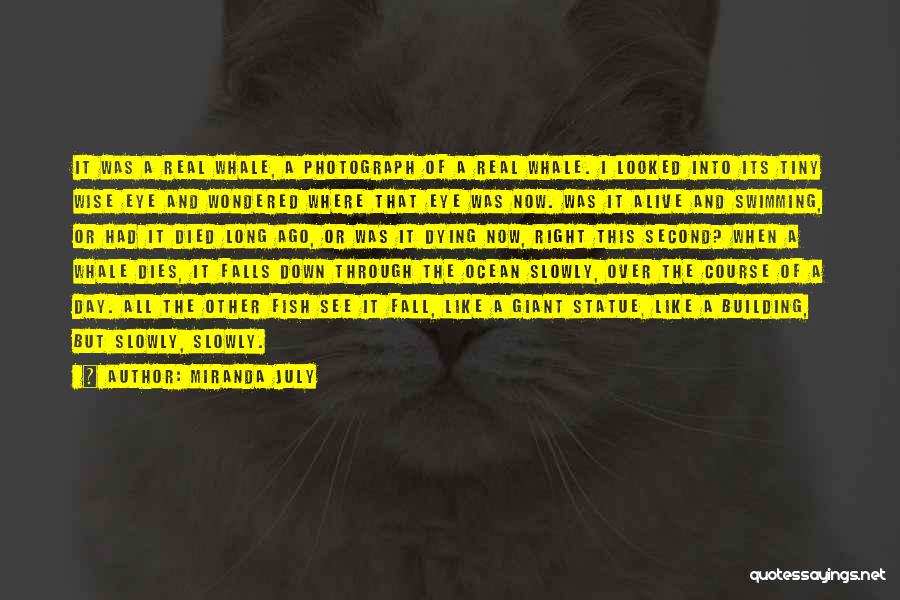 Miranda July Quotes: It Was A Real Whale, A Photograph Of A Real Whale. I Looked Into Its Tiny Wise Eye And Wondered