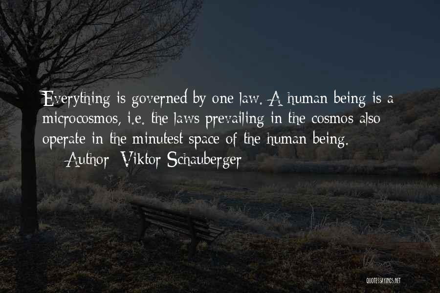 Viktor Schauberger Quotes: Everything Is Governed By One Law. A Human Being Is A Microcosmos, I.e. The Laws Prevailing In The Cosmos Also