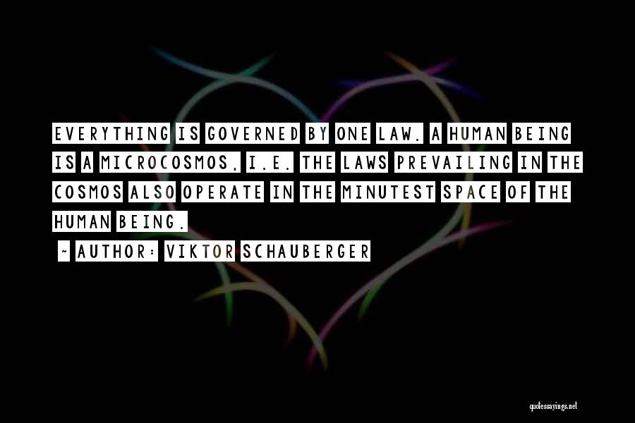 Viktor Schauberger Quotes: Everything Is Governed By One Law. A Human Being Is A Microcosmos, I.e. The Laws Prevailing In The Cosmos Also