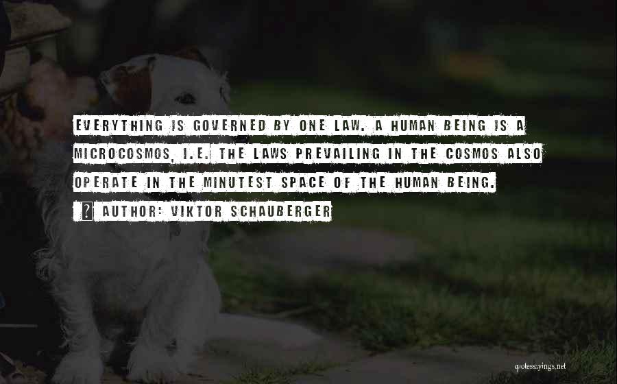 Viktor Schauberger Quotes: Everything Is Governed By One Law. A Human Being Is A Microcosmos, I.e. The Laws Prevailing In The Cosmos Also