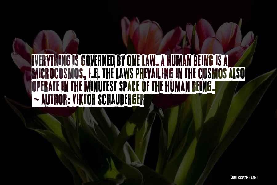 Viktor Schauberger Quotes: Everything Is Governed By One Law. A Human Being Is A Microcosmos, I.e. The Laws Prevailing In The Cosmos Also