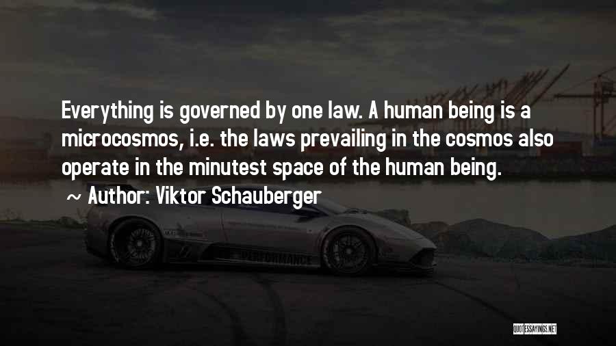 Viktor Schauberger Quotes: Everything Is Governed By One Law. A Human Being Is A Microcosmos, I.e. The Laws Prevailing In The Cosmos Also