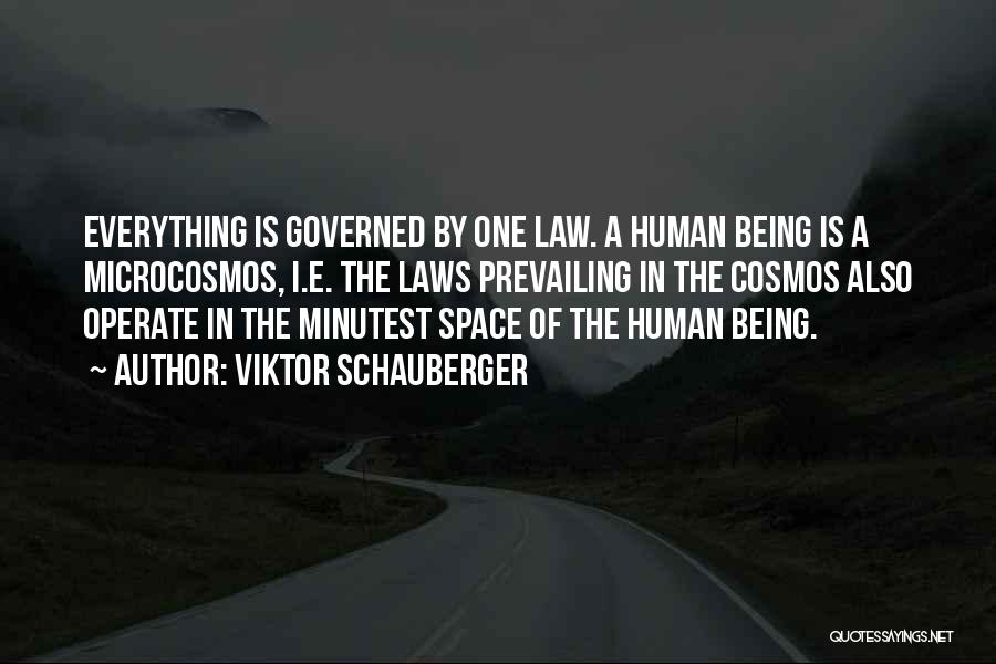 Viktor Schauberger Quotes: Everything Is Governed By One Law. A Human Being Is A Microcosmos, I.e. The Laws Prevailing In The Cosmos Also