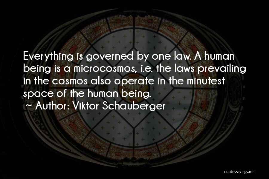 Viktor Schauberger Quotes: Everything Is Governed By One Law. A Human Being Is A Microcosmos, I.e. The Laws Prevailing In The Cosmos Also