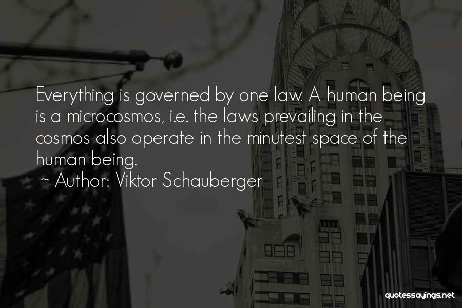 Viktor Schauberger Quotes: Everything Is Governed By One Law. A Human Being Is A Microcosmos, I.e. The Laws Prevailing In The Cosmos Also