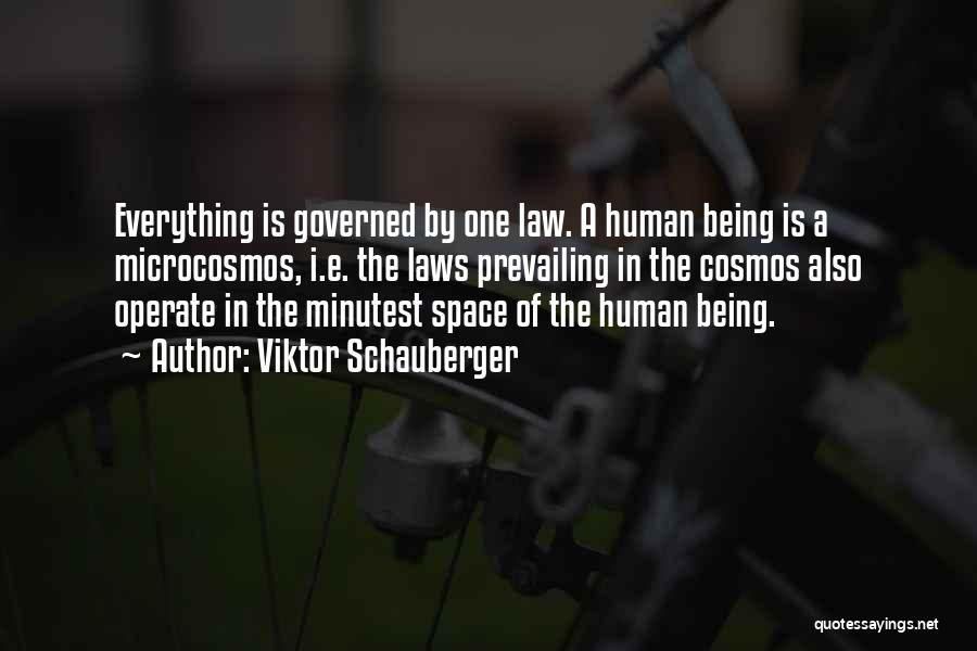 Viktor Schauberger Quotes: Everything Is Governed By One Law. A Human Being Is A Microcosmos, I.e. The Laws Prevailing In The Cosmos Also