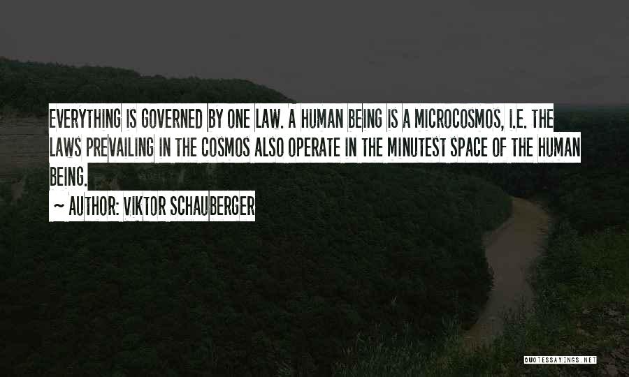 Viktor Schauberger Quotes: Everything Is Governed By One Law. A Human Being Is A Microcosmos, I.e. The Laws Prevailing In The Cosmos Also