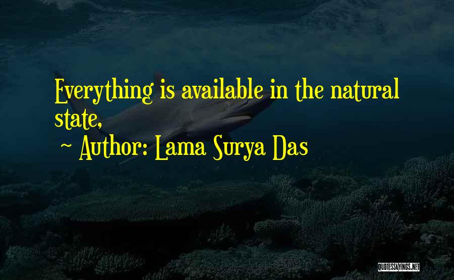 Lama Surya Das Quotes: Everything Is Available In The Natural State,