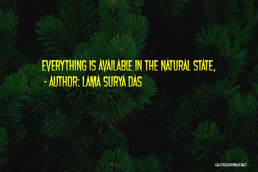 Lama Surya Das Quotes: Everything Is Available In The Natural State,