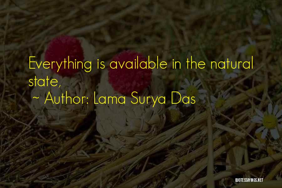 Lama Surya Das Quotes: Everything Is Available In The Natural State,