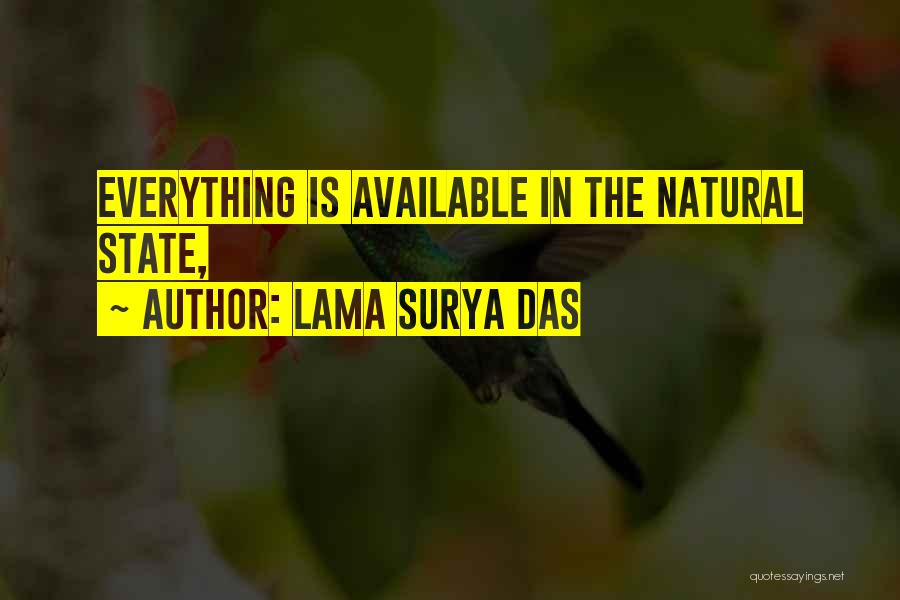 Lama Surya Das Quotes: Everything Is Available In The Natural State,