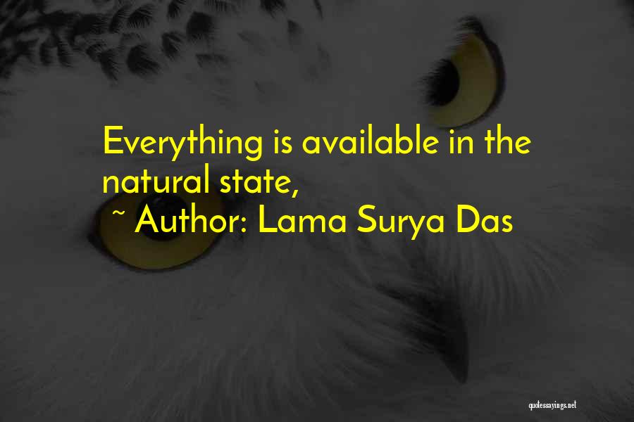 Lama Surya Das Quotes: Everything Is Available In The Natural State,