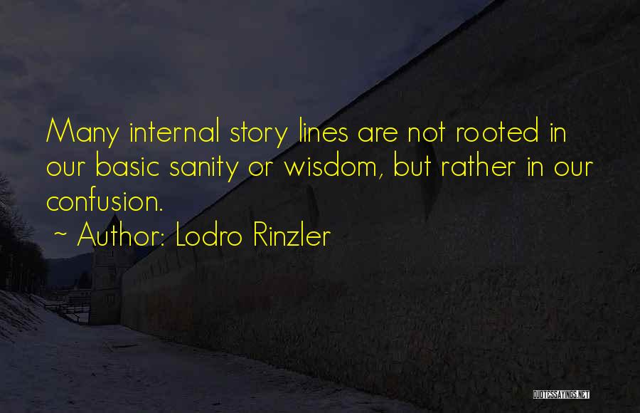 Lodro Rinzler Quotes: Many Internal Story Lines Are Not Rooted In Our Basic Sanity Or Wisdom, But Rather In Our Confusion.
